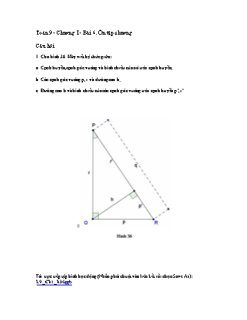 Giáo án môn Toán Hình học 9 - Chương I, Bài 6: Ôn tập chương
