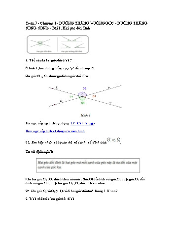 Giáo án môn Toán Hình học 7 - Chương I, Bài 1: Hai góc đối đỉnh