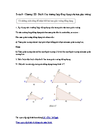 Giáo án môn Toán Hình học 8 - Chương III, Bài 8: Các trường hợp đồng dạng của tam giác vuông