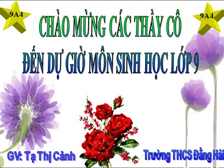 Bài giảng môn Sinh học 9 - Bài 1: Menđen và di truyền học - Tạ Thị Cảnh - Trường THCS Đằng Hải