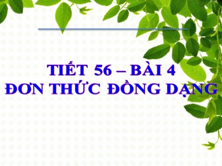 Bài giảng môn Đại số Lớp 7 - Tiết 56, Bài 4: Đơn thức đồng dạng