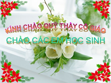 Bài giảng môn Sinh học Lớp 7 - Tiết 21, Bài 19: Một số thân mềm khác