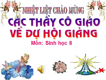 Bài giảng môn Sinh học Lớp 8 - Tiết 38, Bài 36: Tiêu chuẩn ăn uống. Nguyên tắc lập khẩu phần ăn