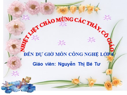 Bài giảng môn Công nghệ Lớp 6 - Tiết 27, Bài 12: Trang trí nhà ở bằng cây cảnh và hoa (Tiếp theo) - Nguyễn Thị Bé Tư