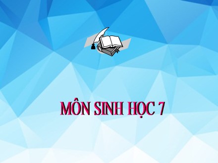 Bài giảng môn Sinh học Lớp 7 - Bài 60: động vật quý hiếm