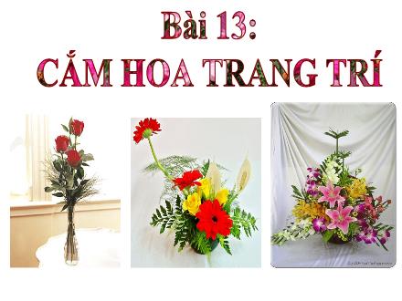 Bài giảng Công nghệ Lớp 6 - Bài 13: Cắm hoa trang trí