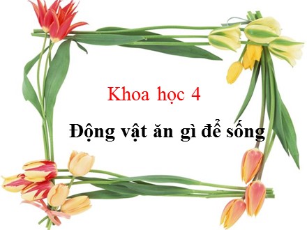 Bài giảng Khoa học Lớp 4 - Bài: Động vật ăn gì để sống?