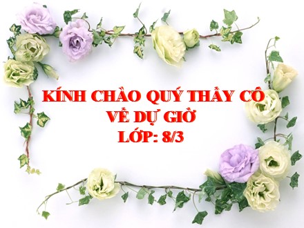 Bài giảng Lịch sử Lớp 8 - Bài 25: Kháng chiến lan rộng ra toàn quốc (1873-1884)