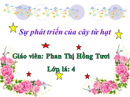 Bài giảng Lớp Lá 4 - Bài: Sự phát triển của cây từ hạt - Phan Thị Hồng Tươi