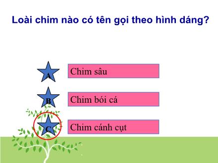 Bài giảng Luyện từ và câu Lớp 2 - Bài: Từ ngữ về loài chim.Dấu chấm, dấu phẩy