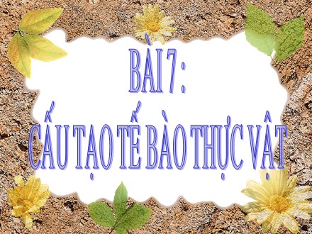 Bài giảng Sinh học 6 - Bài 7: Cấu tạo tế bào thực vật