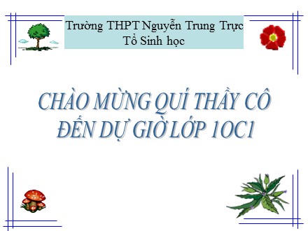 Bài giảng Sinh học Lớp 10 - Bài 11: Vận chuyển các chất qua màng sinh chất - Trường THPT Nguyễn Trung Trực
