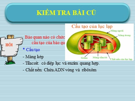 Bài giảng Sinh học Lớp 10 - Bài 17: Quang hợp