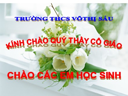 Bài giảng Sinh học Lớp 6 - Bài 9: Các loại rễ, các miền của rễ - Trường THCS Võ Thị Sáu