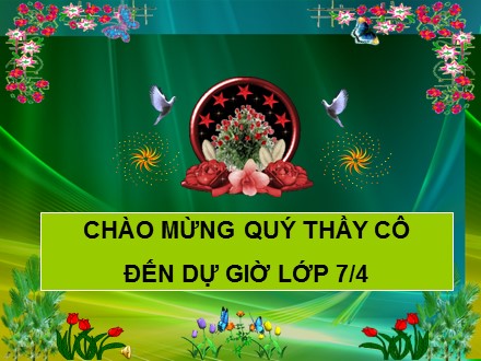 Bài giảng Sinh học Lớp 7 - Bài 46: Thỏ