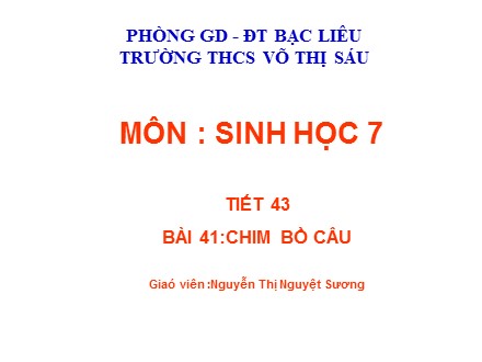 Bài giảng Sinh học Lớp 7 - Tiết 43, Bài 41: Chim bồ câu - Nguyễn Thị Nguyệt Sương