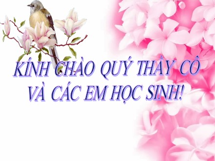 Bài giảng Sinh học Lớp 8 - Bài 20: Hô hấp và các cơ quan hô hấp