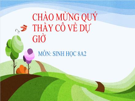 Bài giảng Sinh học Lớp 8 - Tiết 55, Bài 55: Giới thiệu chung hệ nội tiết