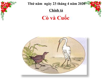 Bài giảng Tập đọc Lớp 2 - Bài: Cò và Cuốc - Năm học 2019-2020