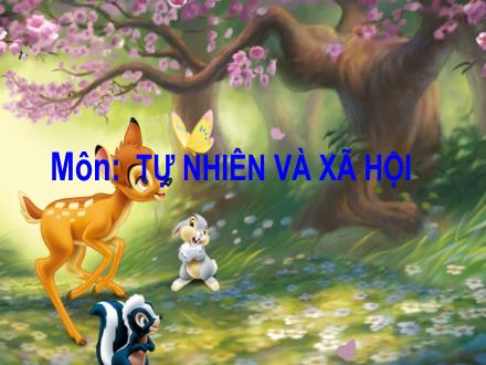 Bài giảng Tự nhiên và Xã hội Lớp 3 - Bài 10: Hoạt động bài tiết nước tiểu