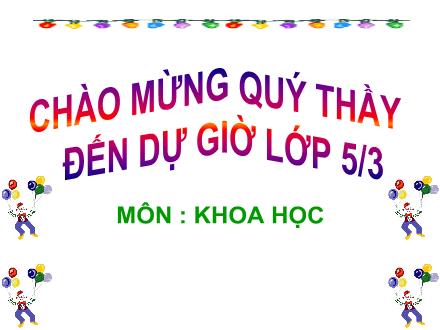 Bài giảng Khoa học Lớp 5 - Bài 16: Phòng tránh HIV / AIDS