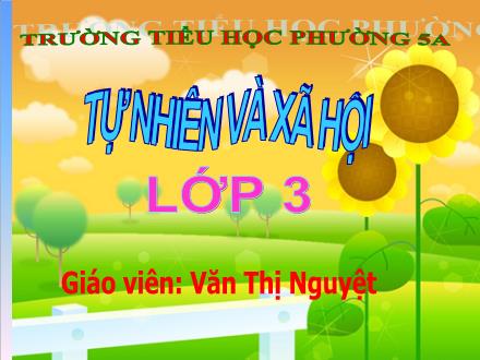 Bài giảng Tự nhiên và xã hội Lớp 3 - Tiết 59: Trái Đất. Quả địa cầu - Văn Thị Nguyệt