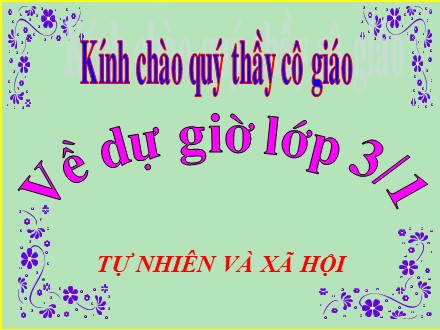 Bài giảng Tự nhiên xã hội Lớp 3 - Tiết 2: Tỉnh (thành phố) nơi bạn đang sống