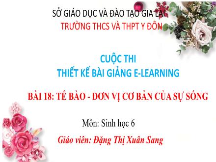 Bài giảng Khoa học tự nhiên 6 (Sinh học) Kết nối tri thức - Bài 18: Tế bào - Đơn vị cơ bản của sự sống - Đặng Thị Xuân Sang