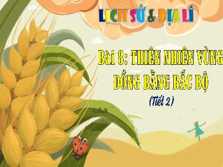 Bài giảng Lịch sử & Địa lí 4 (Phân môn: Địa lí) Kết nối tri thức - Bài 8: Thiên nhiên vùng đồng bằng Bắc bộ (Tiết 2) - Nguyễn Thanh Mai
