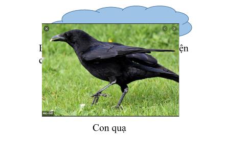 Bài giảng Tiếng Việt 1 (Kể chuyện) - Tiết 2: Con quạ khôn ngoan - Năm học 2020-2021 - Nguyễn Thị Ánh Tuyết