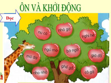 Bài giảng Tiếng Việt 1 (Kết nối tri thức) - Bài 21: R, r, S, s - Năm học 2023-2024 - Nguyễn Thị Ánh Tuyết