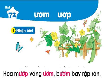 Bài giảng Tiếng Việt 1 (Kết nối tri thức) - Bài 72: ươm, ươp - Năm học 2023-2024 - Nguyễn Thị Ánh Tuyết