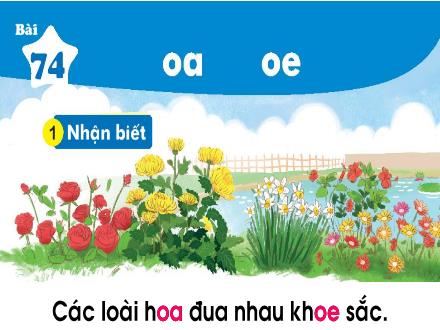 Bài giảng Tiếng Việt 1 (Kết nối tri thức) - Bài 74: oa, oe - Năm học 2023-2024 - Nguyễn Thị Ánh Tuyết