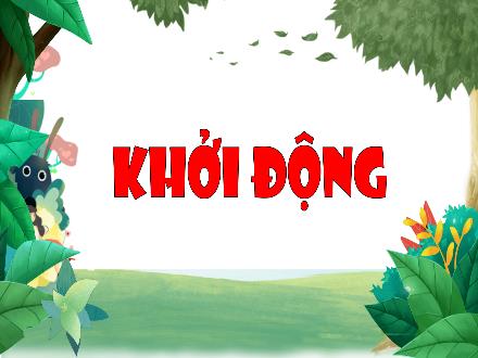 Bài giảng Tiếng Việt 3 (Tập đọc) Kết nối tri thức - Bài 29: Ngôi nhà trong cỏ - Năm học 2022-2023