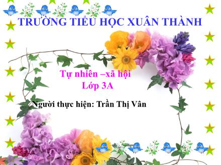 Bài giảng Tự nhiên và xã hội 3 - Bài 51: Tôm, cua - Năm học 2021-2022 - Trần Thị Vân