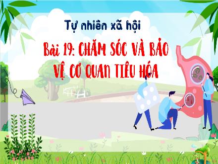 Bài giảng Tự nhiên và xã hội 3 (Kết nối tri thức) - Bài 19: Chăm sóc và bảo vệ cơ quen tiêu hóa - Năm học 2022-2023