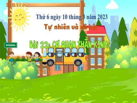 Bài giảng Tự nhiên và xã hội 3 (Kết nối tri thức) - Bài 22: Cơ quan thần kinh - Năm học 2022-2023