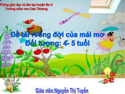 Bài giảng Lớp Chồi - Đề tài: Vòng đời của mái mơ - Nguyễn Thị Tuyến