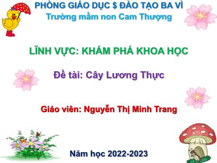 Bài giảng Lớp Chồi - Khám phá khoa học - Đề tài: Cây lương thực - Năm học 2022-2023 - Nguyễn Thị Minh Trang