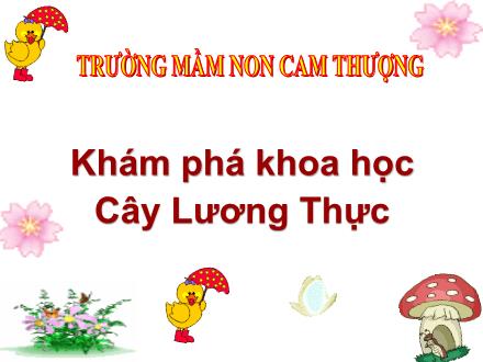 Bài giảng Lớp Chồi - Khám phá khoa học - Đề tài: Cây lương thực - Trường mầm non Cam Thượng