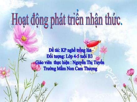 Bài giảng Lớp Chồi - Phát triển nhận thức - Khám phá nghề trồng lúa - Nguyễn Thị Tuyến