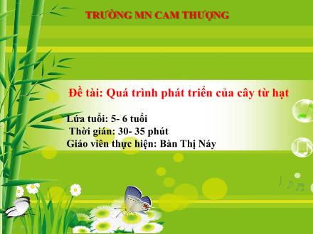 Bài giảng Lớp Lá - Đề tài: Quá trình phát triển của cây từ hạt - Bàn Thị Náy