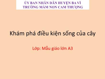 Bài giảng Lớp Lá - Khám phá điều kiện sống của cây - Trường Mầm non Cam Thượng