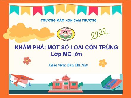Bài giảng Lớp Lá - Khám phá: Một số loại côn trùng - Bàn Thị Náy